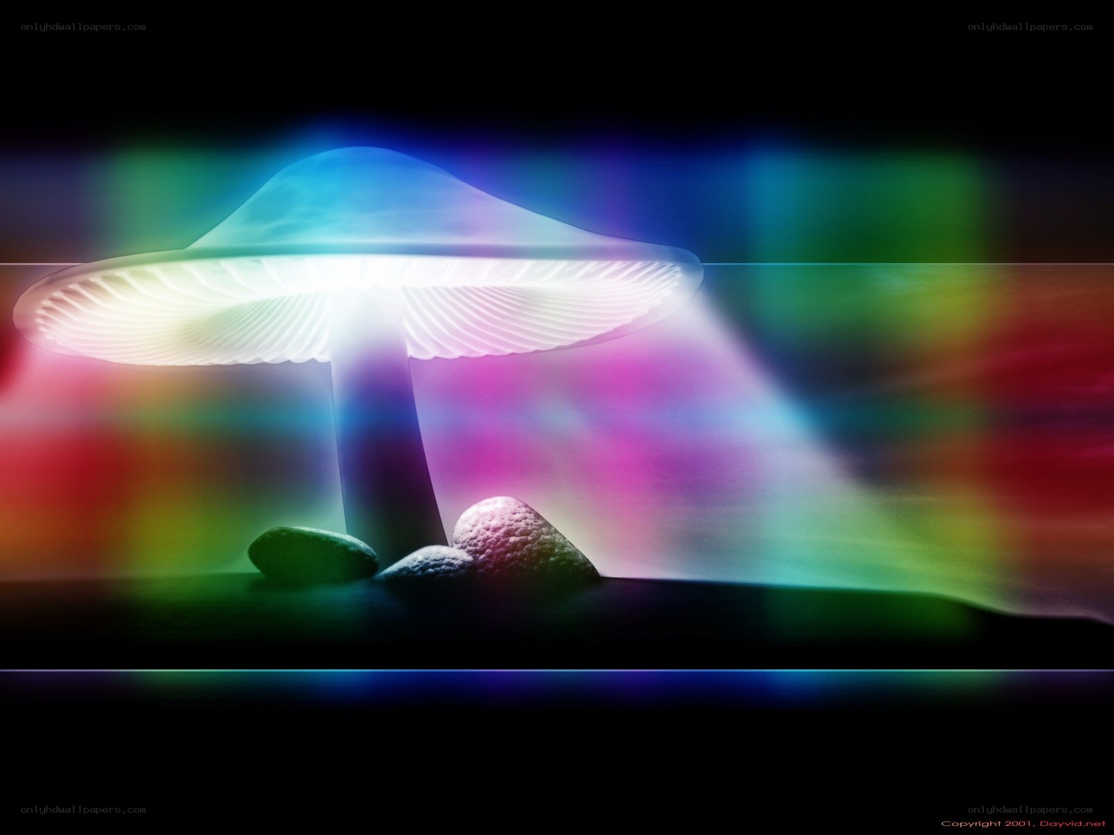 glowing mushroom with rainbow light