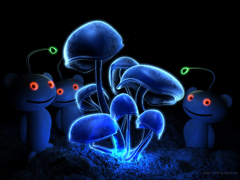 Glowing Mushrooms and Robots