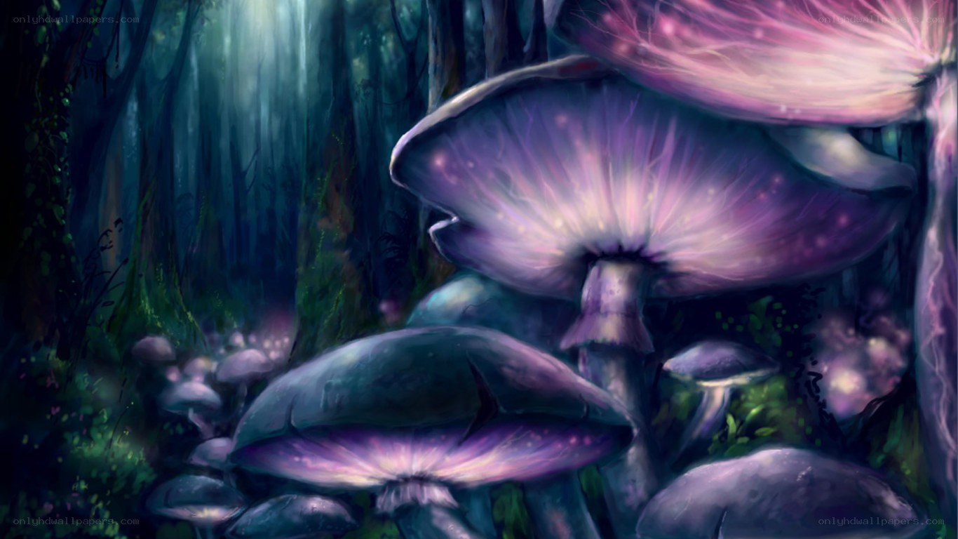 glowing mushrooms in a dark forest