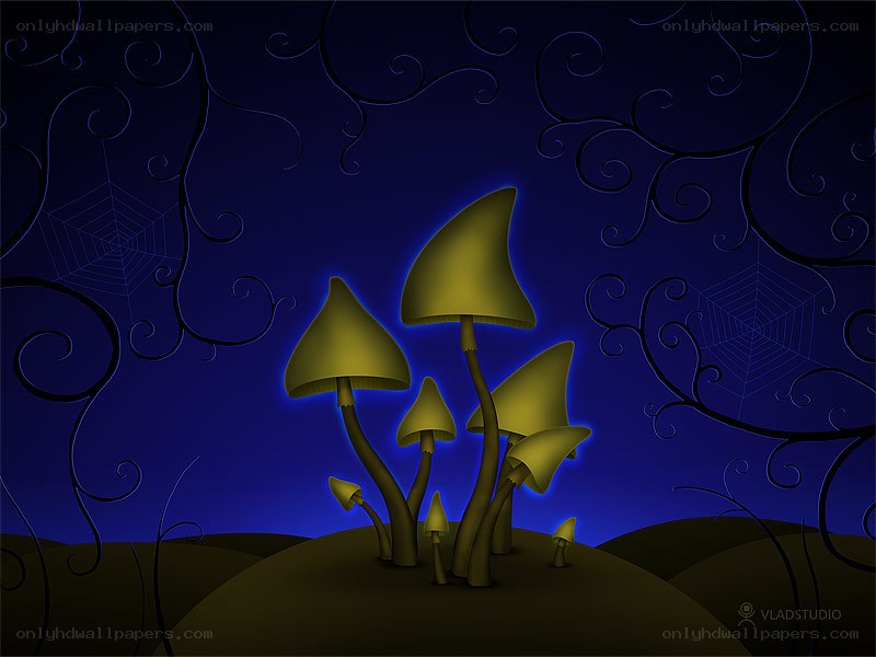 Glowing mushrooms in a dark forest