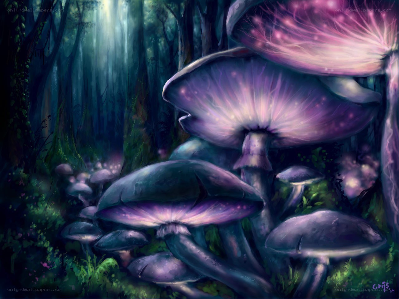 Glowing mushrooms in a dark forest