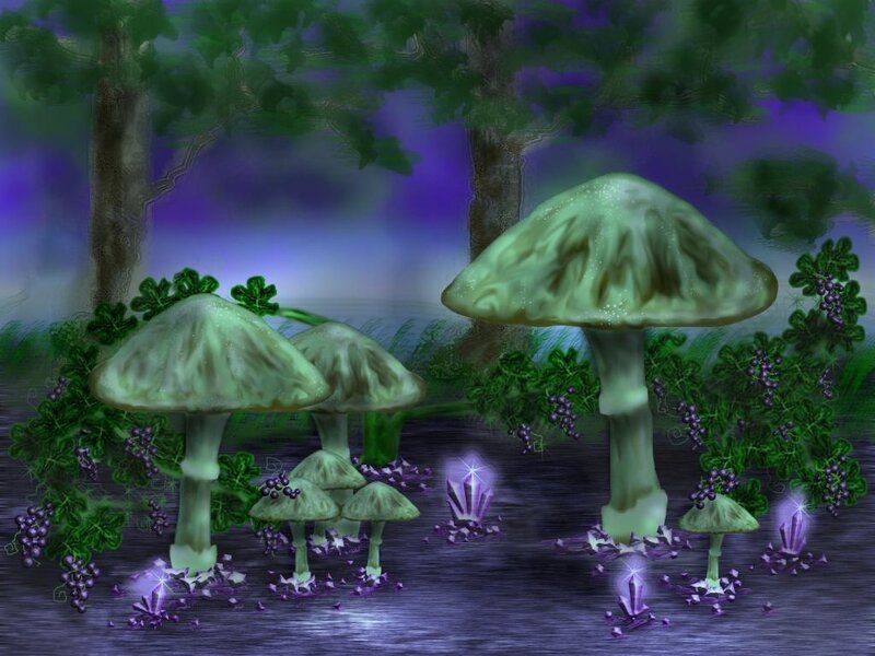 Glowing mushrooms in a forest