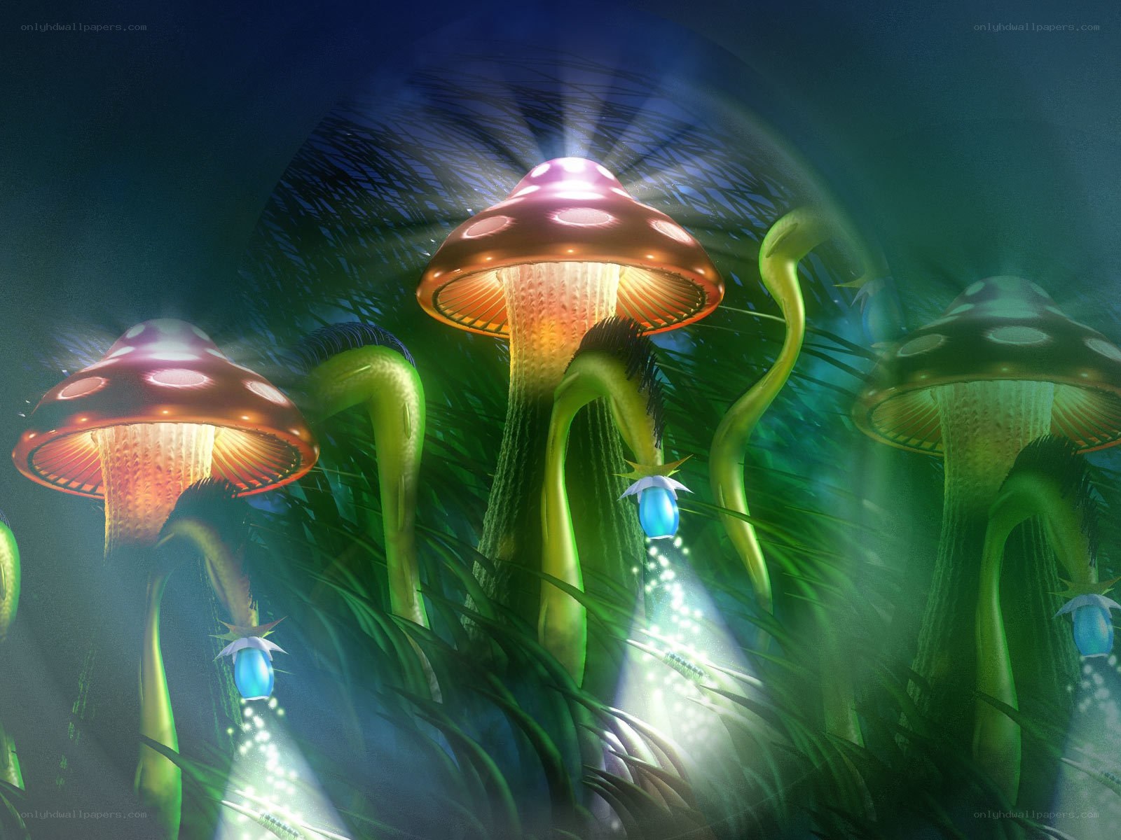 glowing mushrooms in a forest