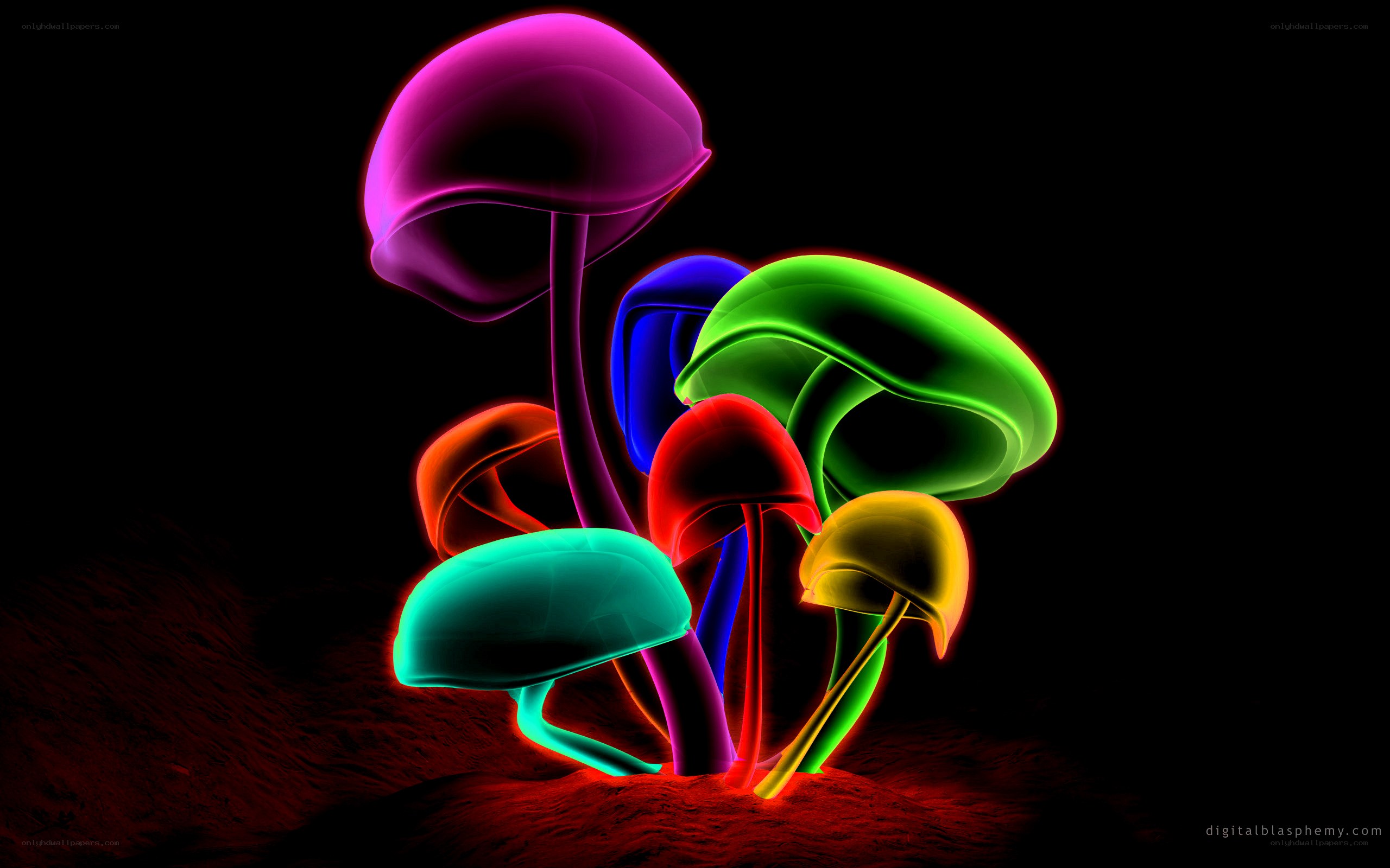glowing mushrooms in dark