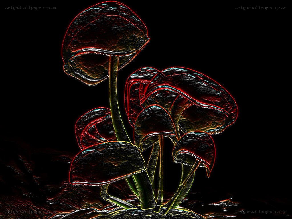 Glowing mushrooms in dark