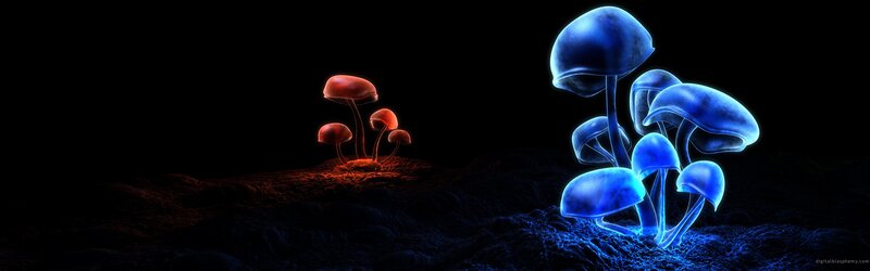 Glowing Mushrooms in Dark — Blue