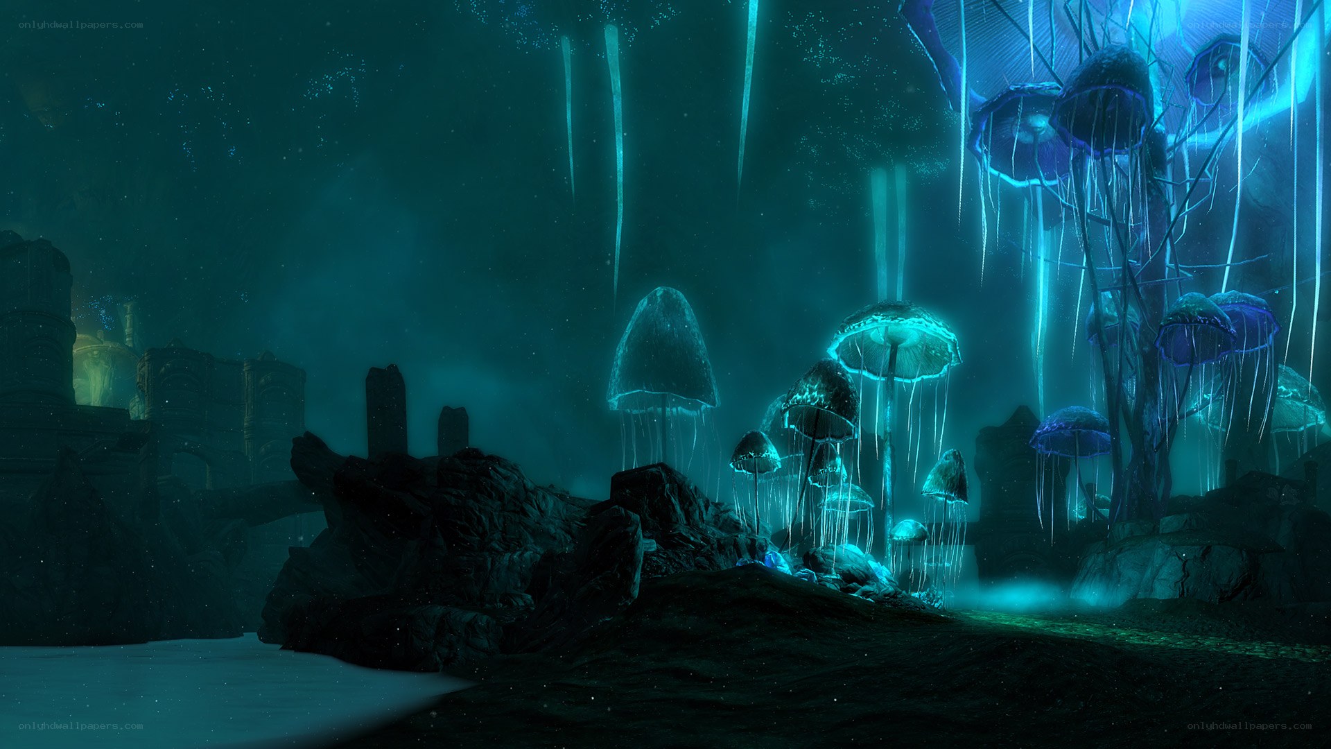 glowing mushrooms in dark cave