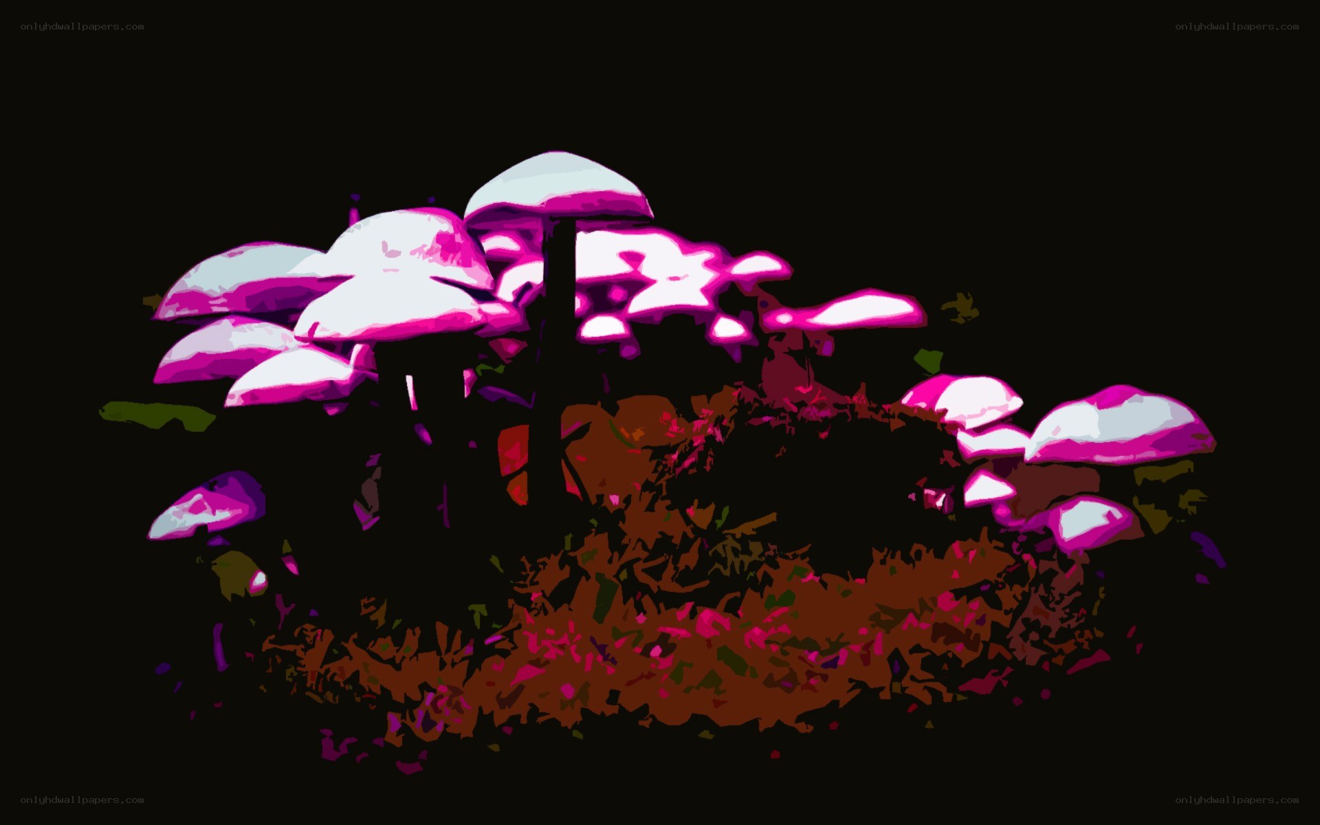 glowing mushrooms in dark forest
