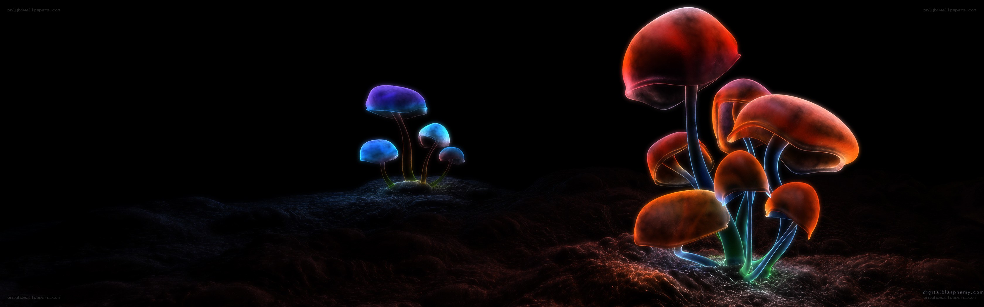 Glowing mushrooms in dark landscape