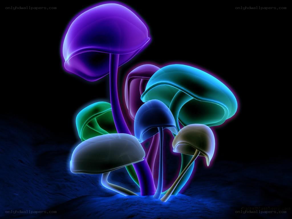 glowing mushrooms in dark