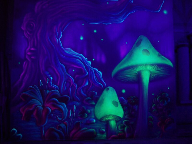 glowing mushrooms in forest