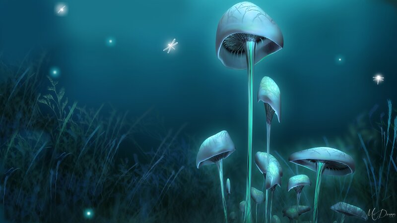 Glowing Mushrooms in Forest — Blue, Serene
