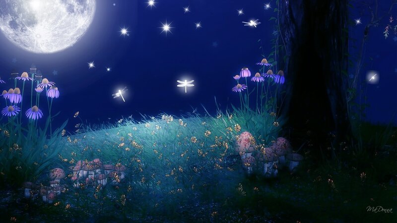 Glowing Mushrooms in Forest — Blue