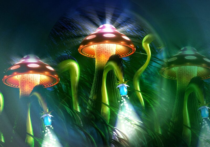 Glowing Mushrooms in Forest — Green, Mystical