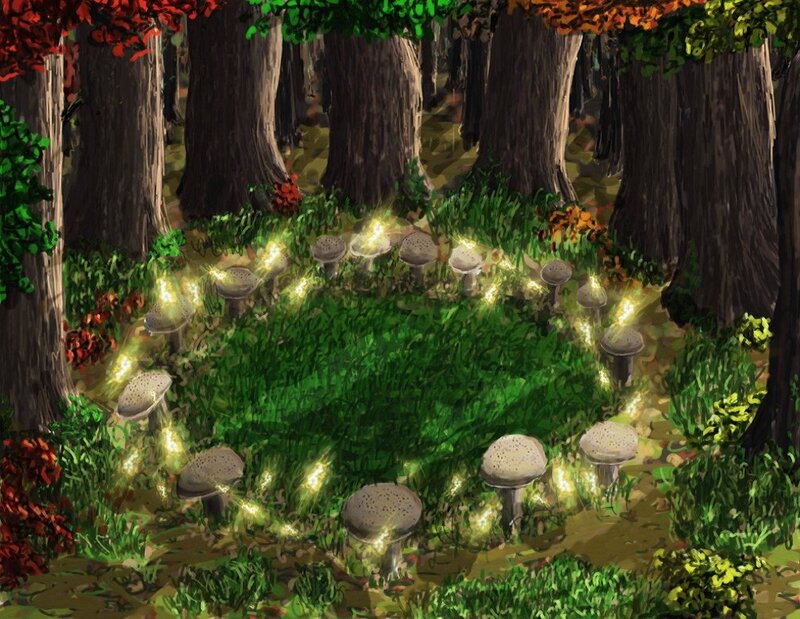 Glowing Mushrooms in Forest — Green, Serene