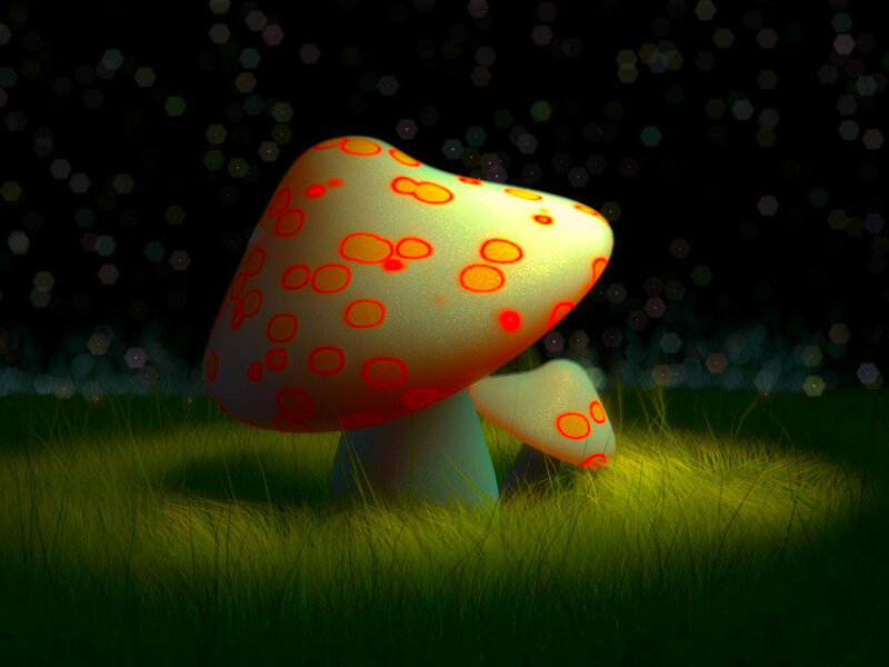 Glowing Mushrooms in Grass