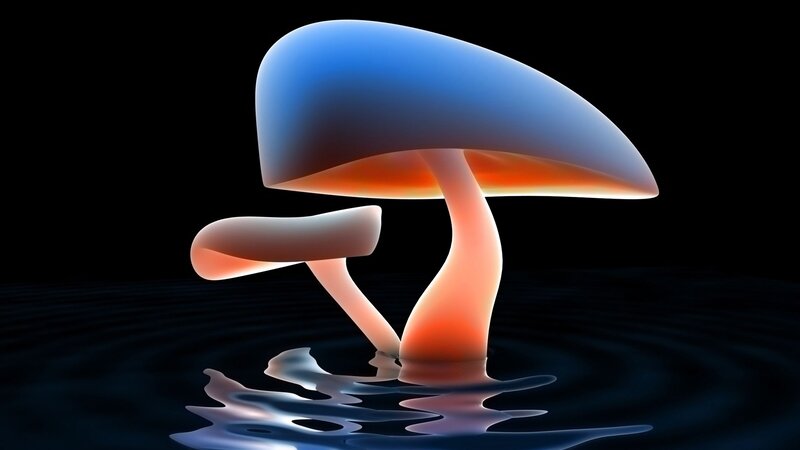 Glowing Mushrooms in Water — Blue, Dramatic, Night, 3d Render, Dark Background