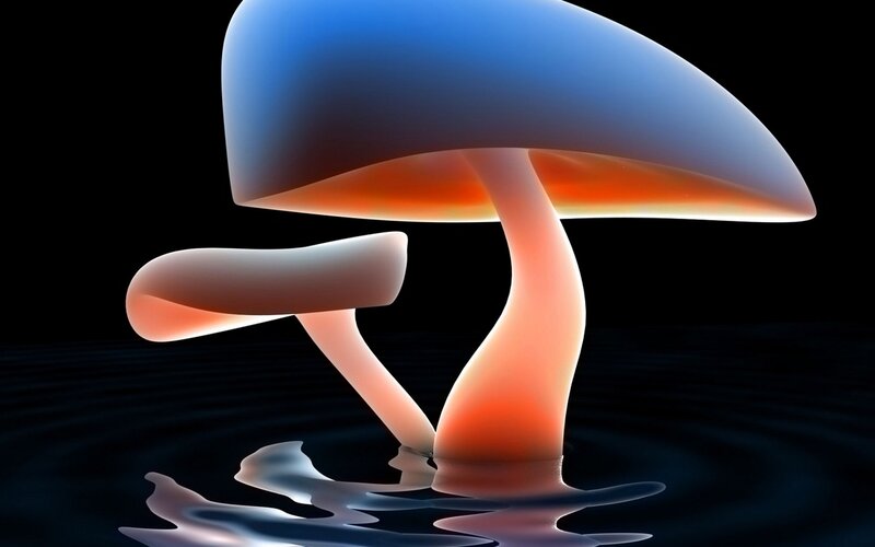 Glowing Mushrooms in Water — Blue, Dramatic, Night, 3d Render, Reflection, Orange, Black