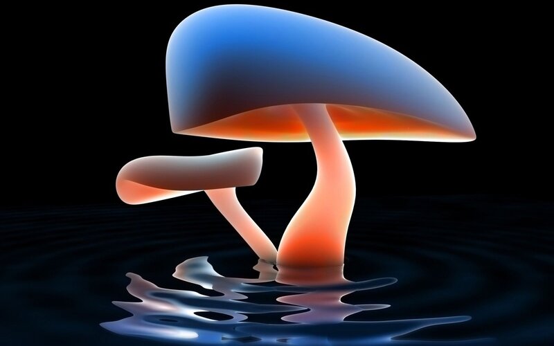 Glowing Mushrooms in Water — Blue, Dramatic, Night, 3d Render, Reflection, Orange