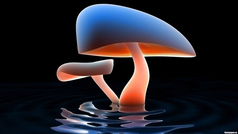 Glowing Mushrooms in Water — Blue, Dramatic, Night, Digital Art, Reflection, Orange