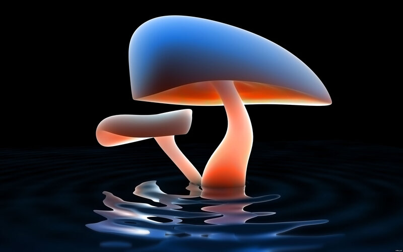 Glowing Mushrooms in Water — Blue, Dramatic, Night, Digital Art