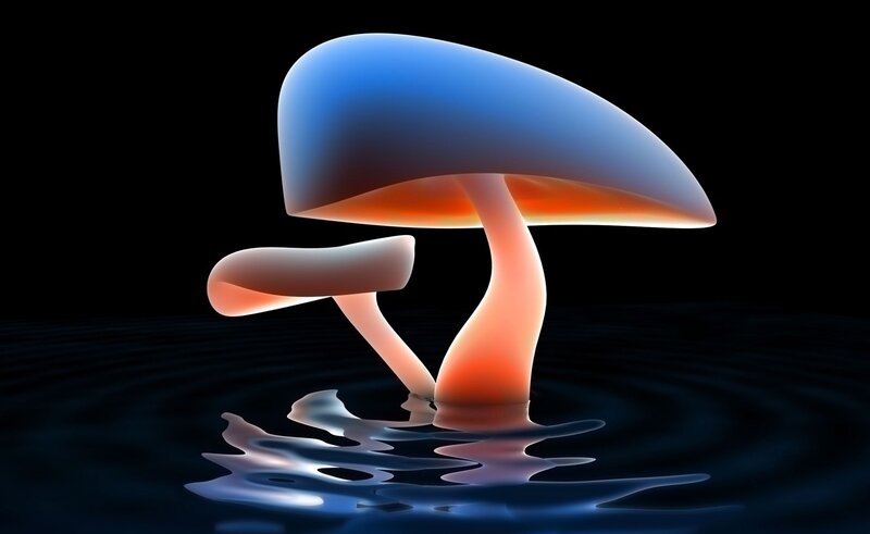 Glowing Mushrooms in Water — Blue, Dramatic, Night