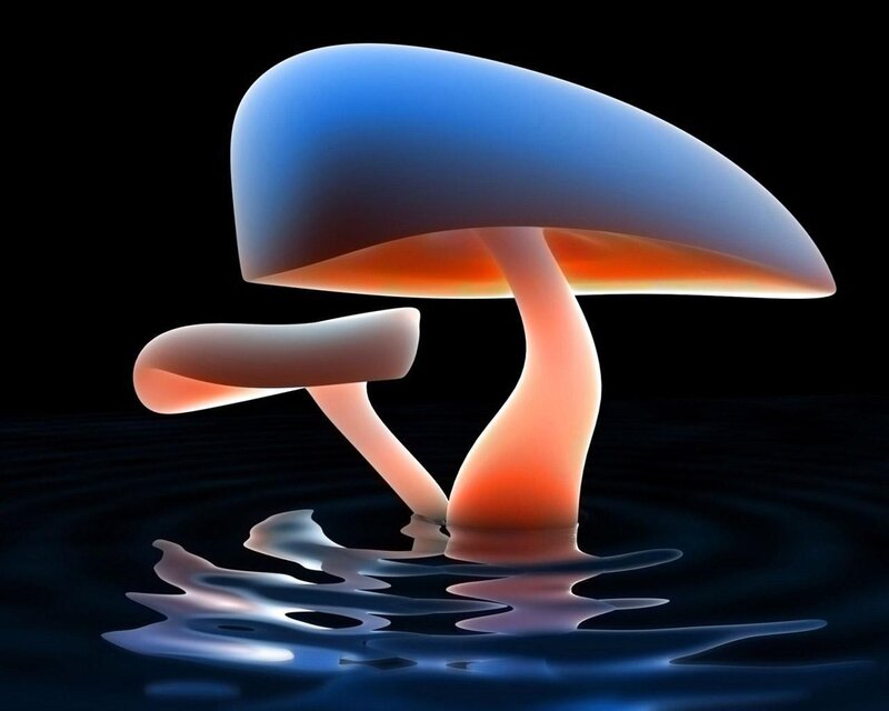 Glowing Mushrooms in Water — Blue, Dramatic