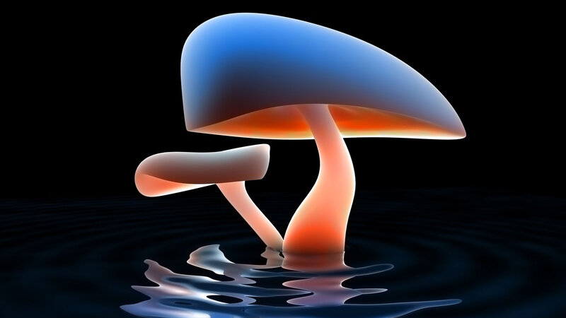 Glowing Mushrooms in Water — Blue