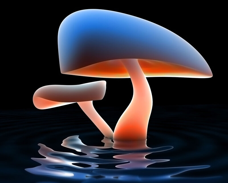 Glowing mushrooms in water