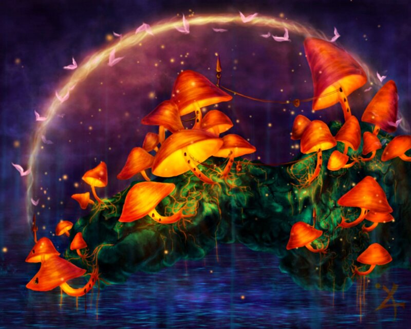 Glowing Mushrooms on Island