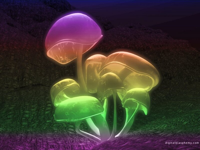 Glowing Mushrooms — Purple, Mystical