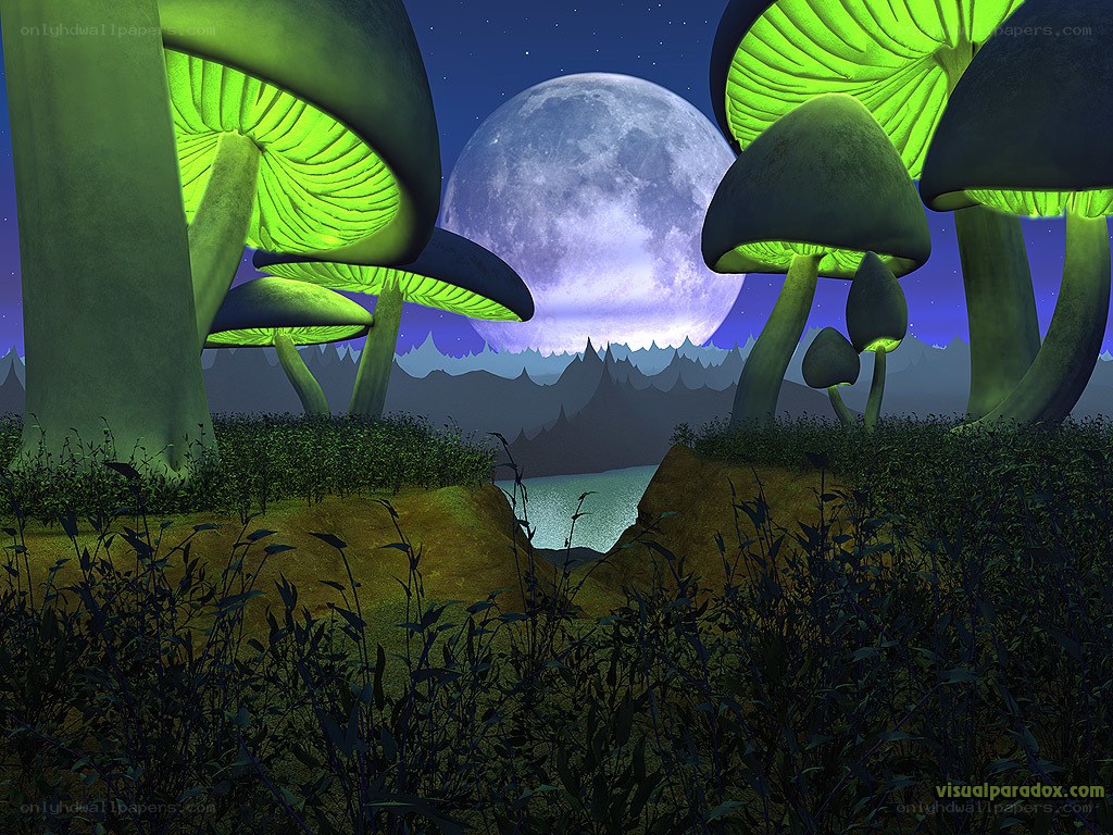 Glowing mushrooms under moonlight