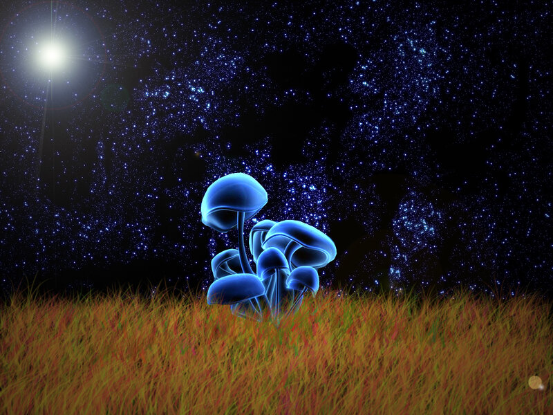 Glowing mushrooms under starry sky