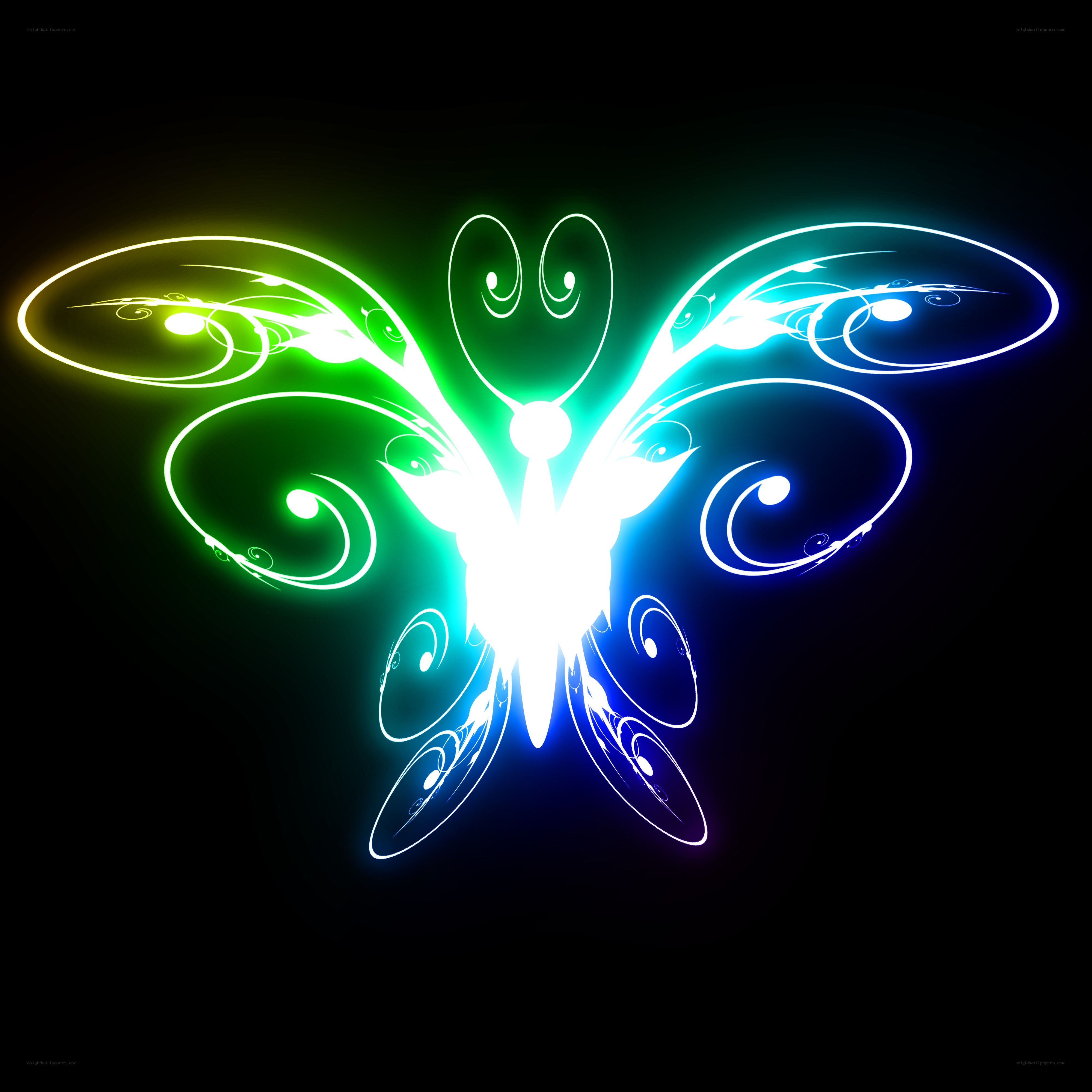 glowing neon butterfly