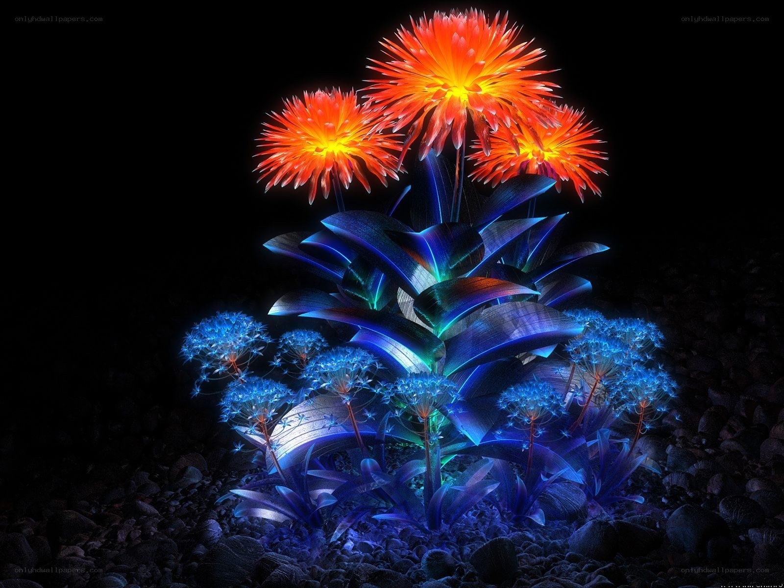 Glowing neon flowers