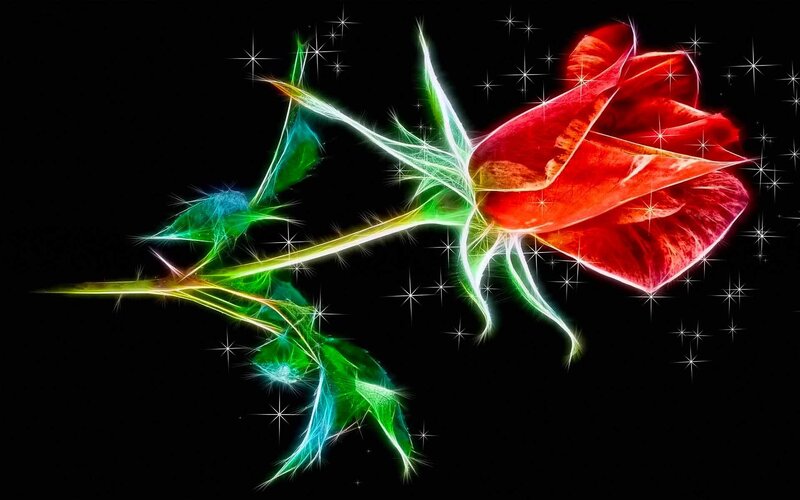 glowing neon rose