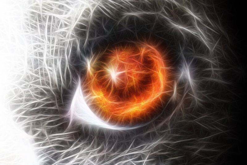 Glowing Orange Eye