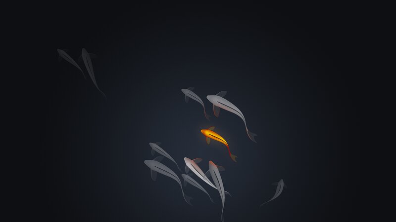 Glowing Orange Fish