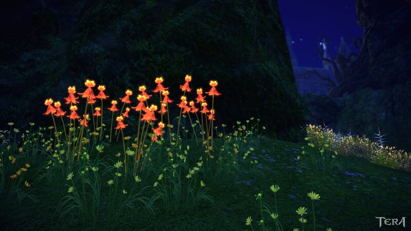 Glowing Orange Flowers