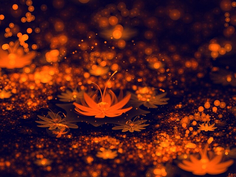 Glowing Orange Lotus Flowers