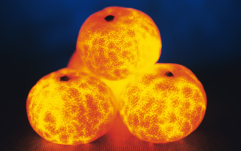 Glowing Oranges