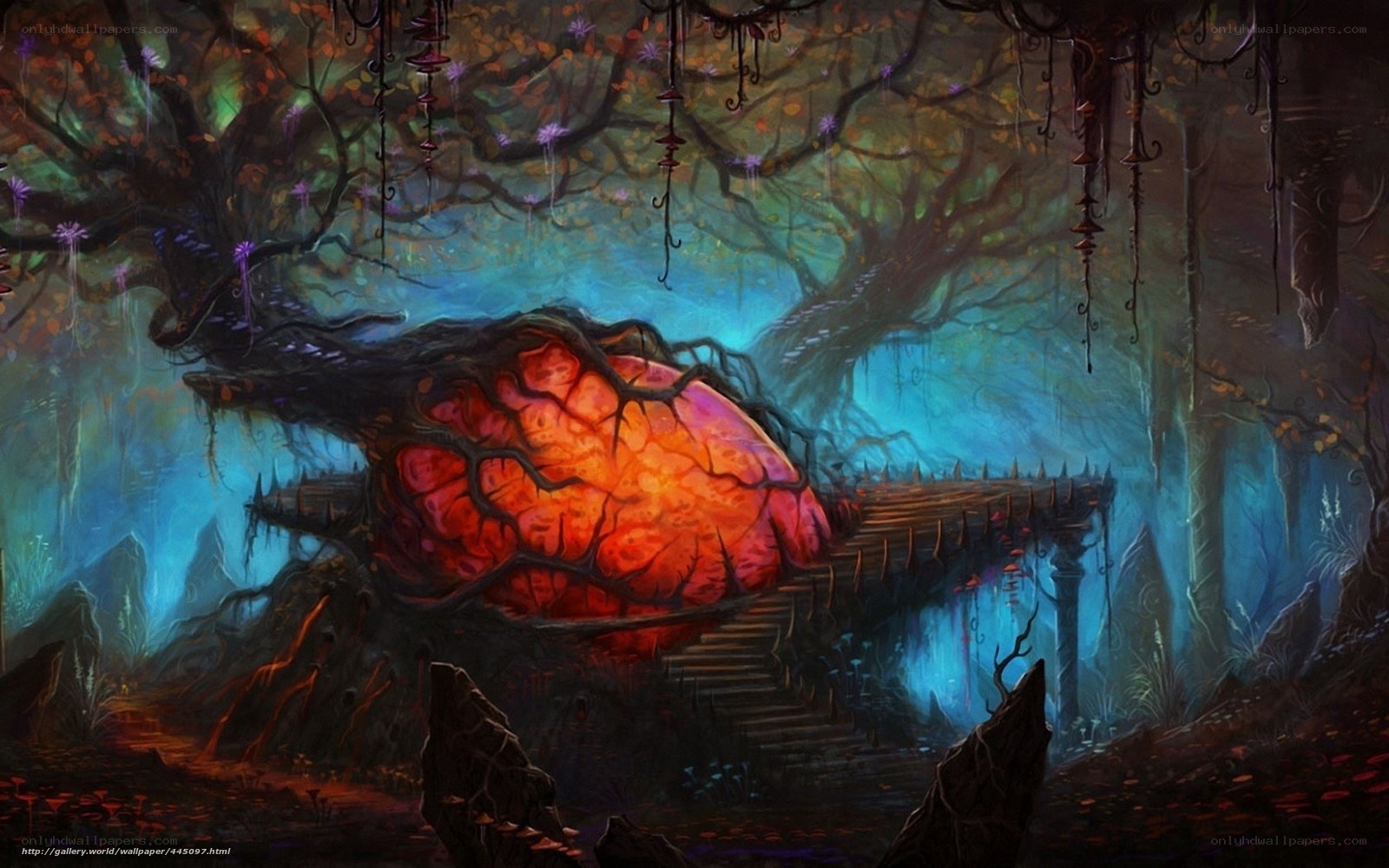 Glowing orb in dark forest