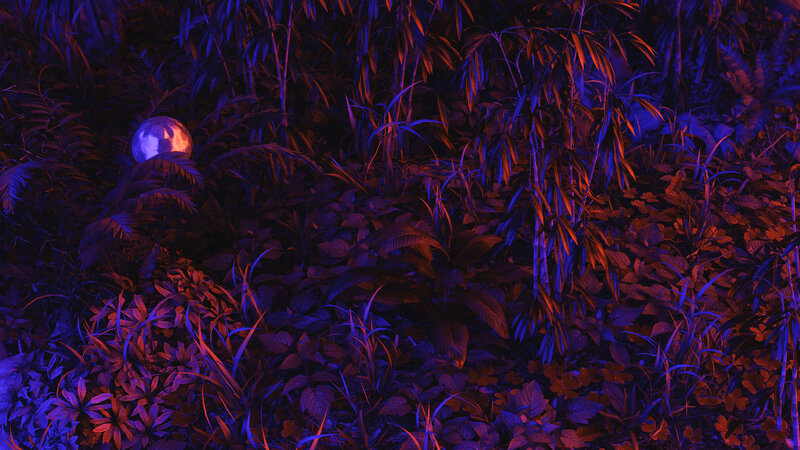 Glowing Orb in Foliage