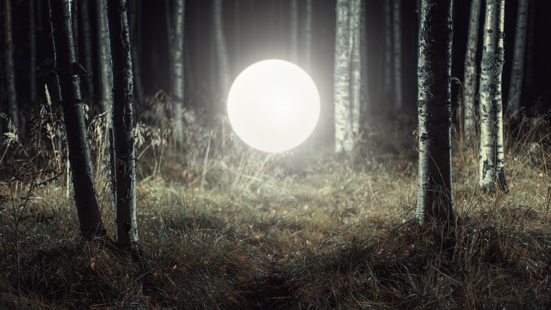 Glowing Orb in Forest — White, Mysterious