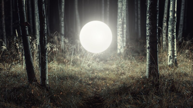 Glowing Orb in Forest — White