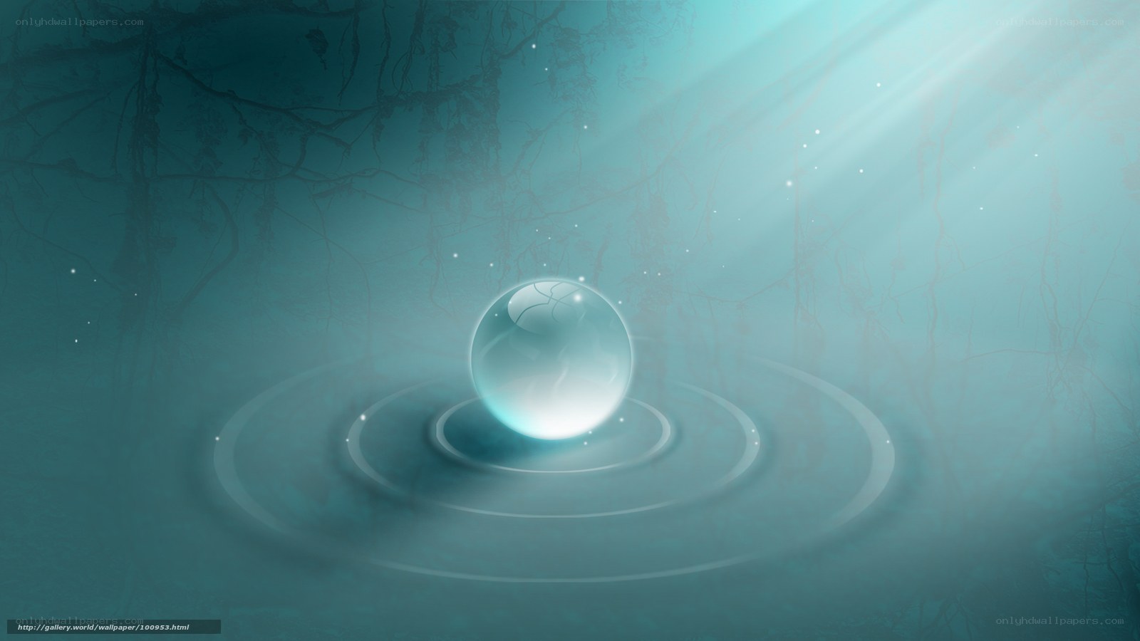 Glowing orb in misty forest
