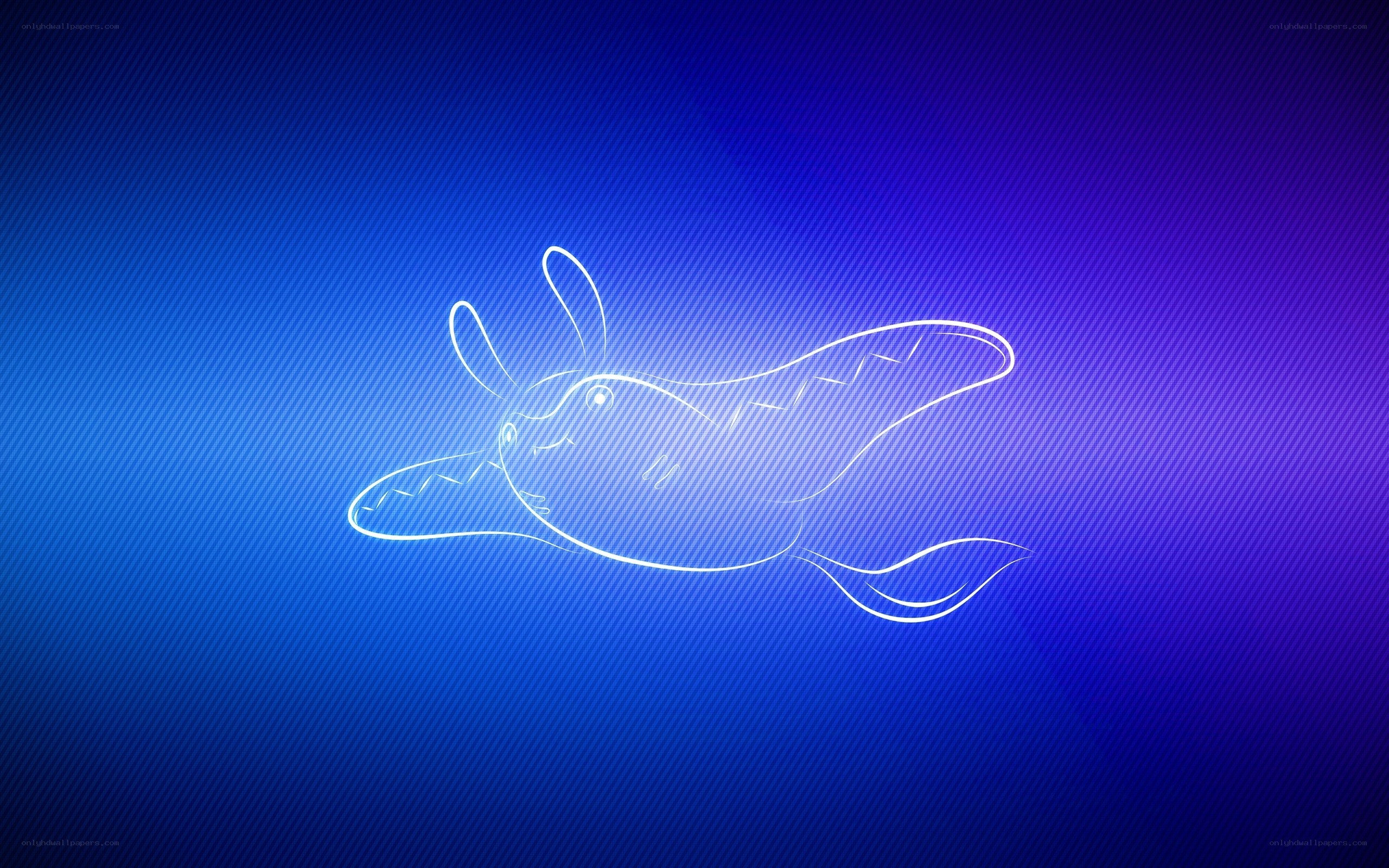 glowing outline of a creature