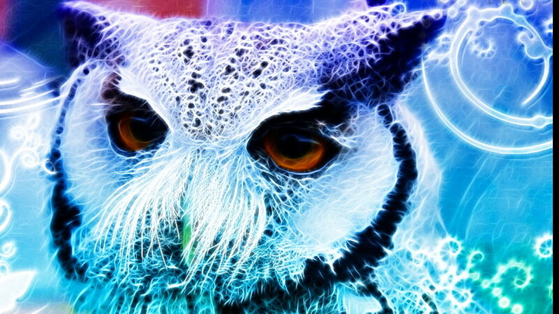Glowing Owl Face — Blue