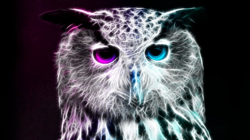 Glowing Owl Face — White