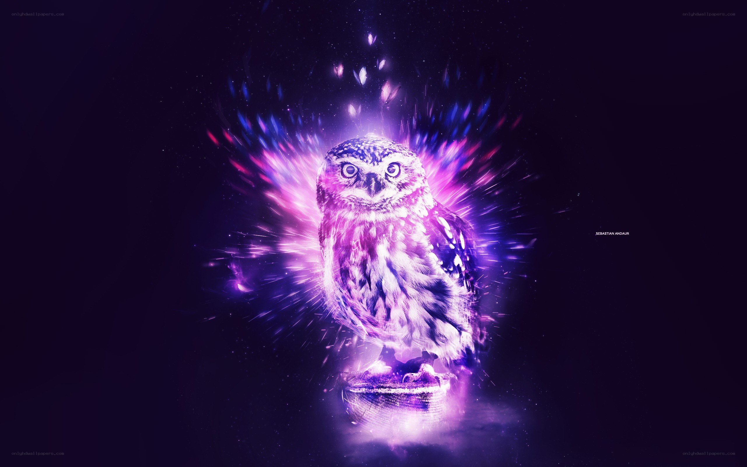 glowing owl in cosmic light